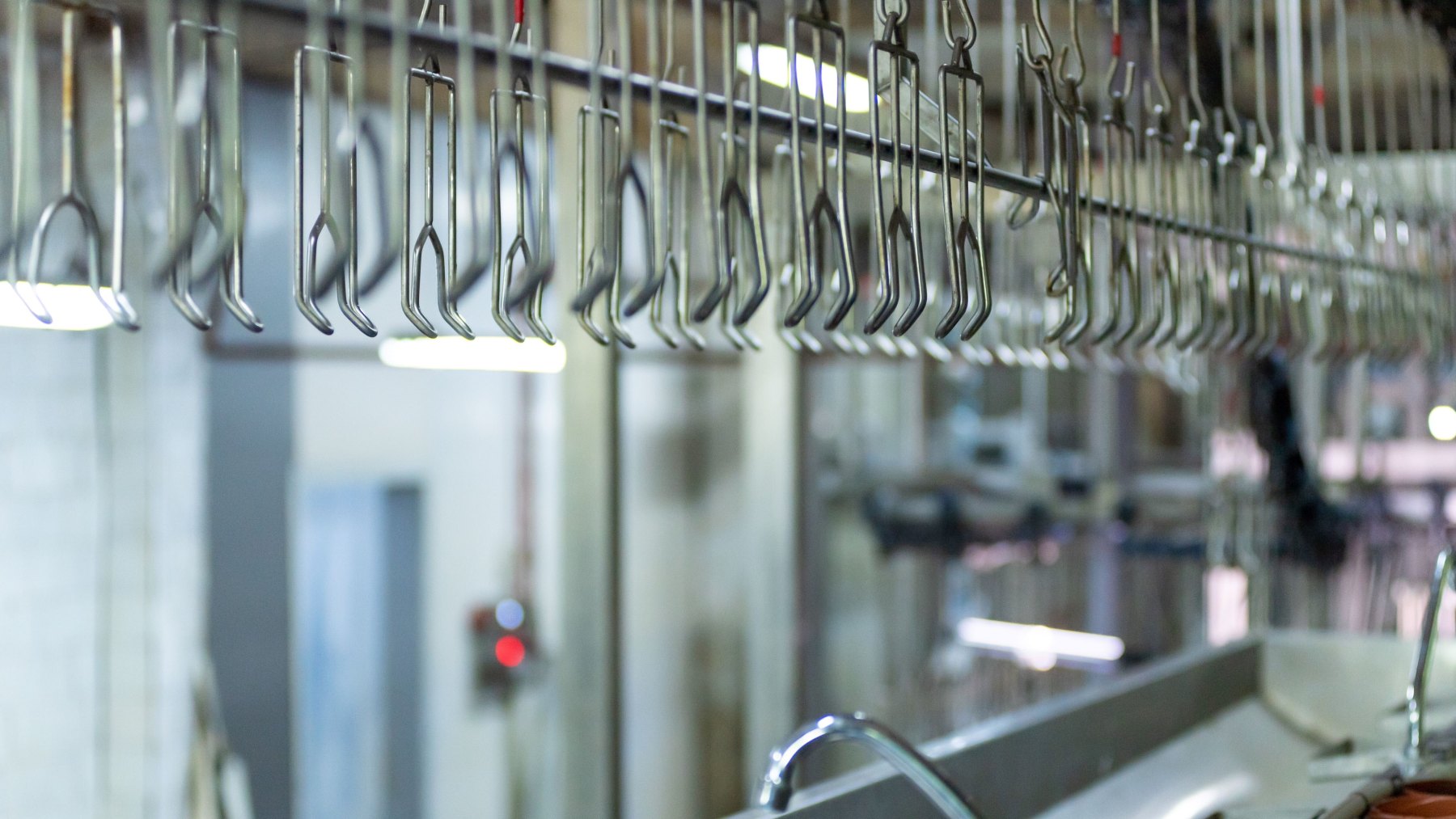 Erikoisketjuilla kriittinen rooli elintarviketeollisuudessa